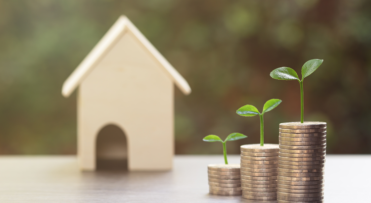 Stacks of coins with small plants growing on top, and a small house model in the background, symbolizing the growth of net worth through homeownership.