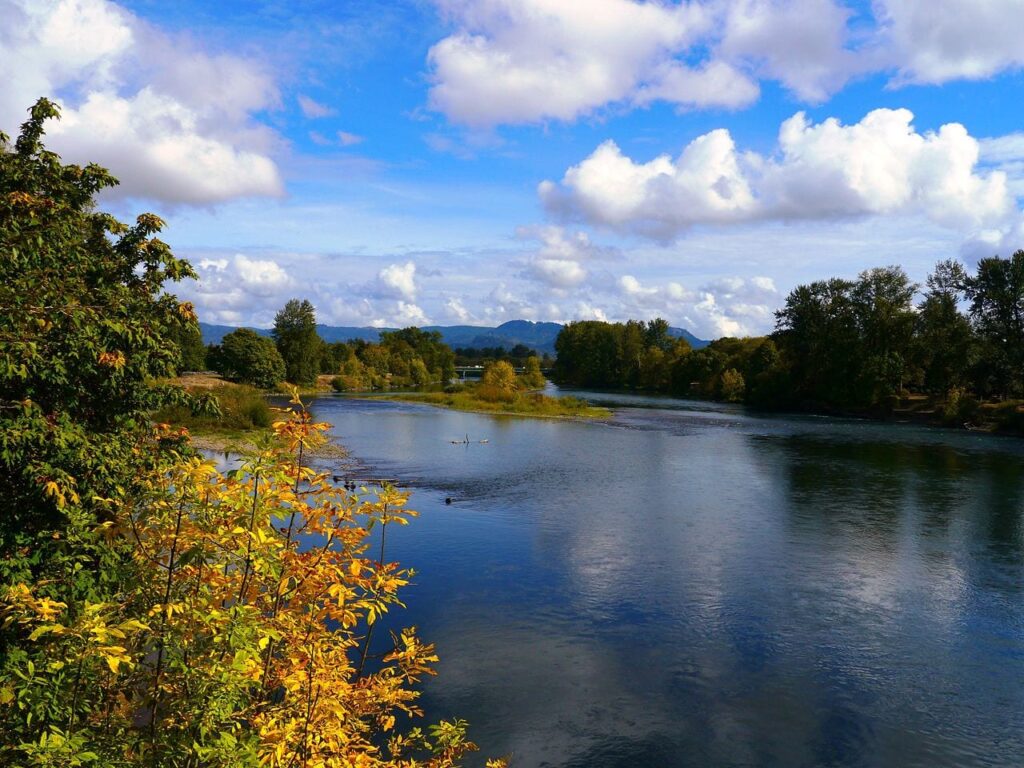 Scenic view of a river surrounded by lush greenery in Eugene, Oregon.